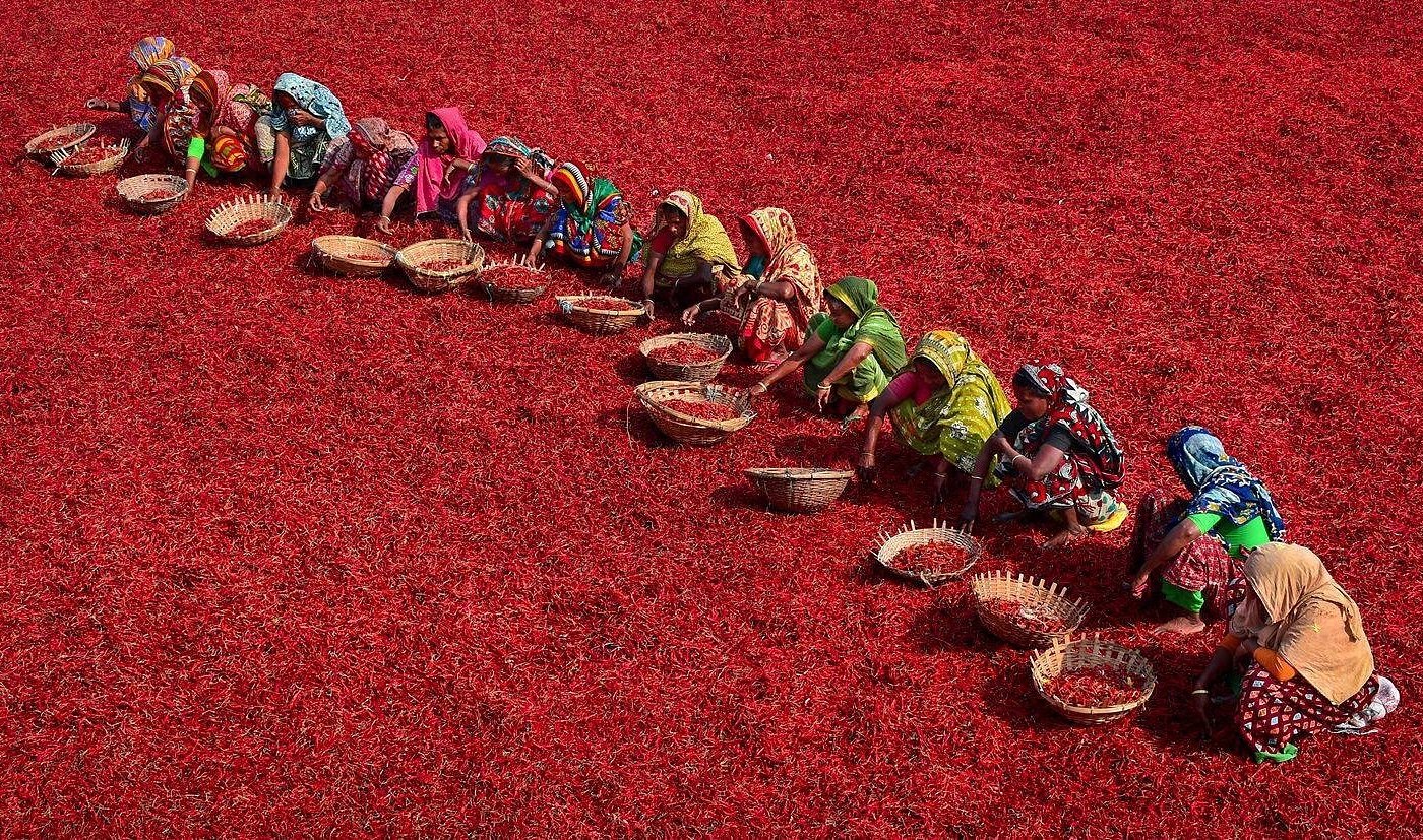Gaibandha İli – Bangladeş fotoğrafı