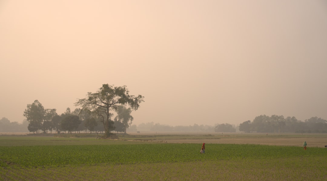 Dinajpur İli – Bangladeş fotoğrafı