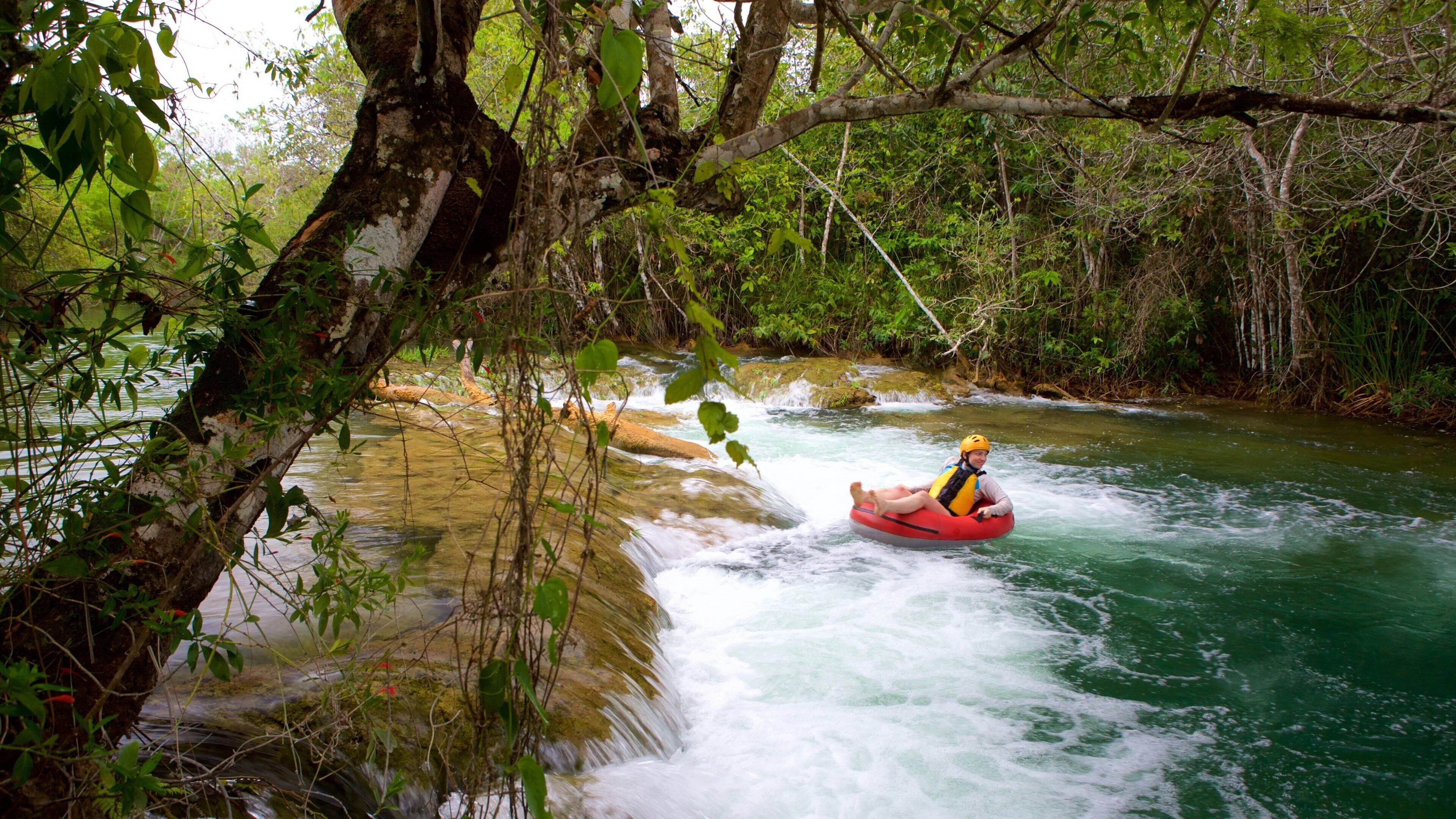 Mato Grosso do Sul – Brezilya fotoğrafı