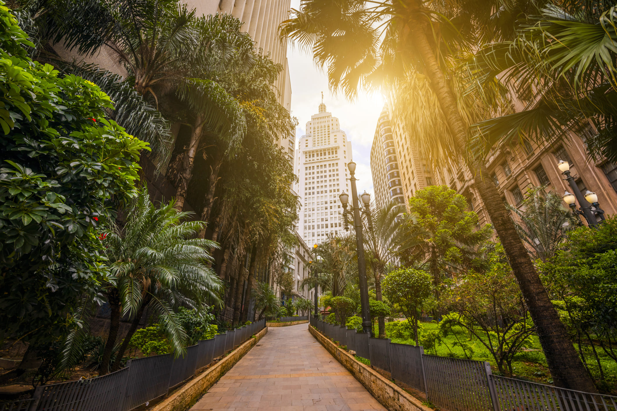 Sao Paulo – Brezilya fotoğrafı