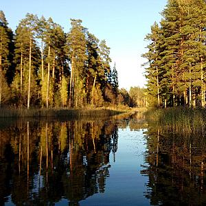 Võru İli – Estonya fotoğrafı