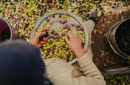 El Kelaâ des Sraghna İli – Fas fotoğrafı