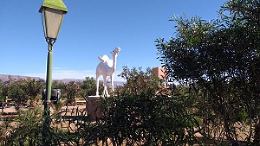 Assa-Zag İli – Fas fotoğrafı