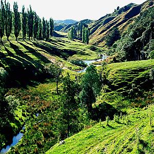 Stratford İlçesi – Yeni Zelanda fotoğrafı
