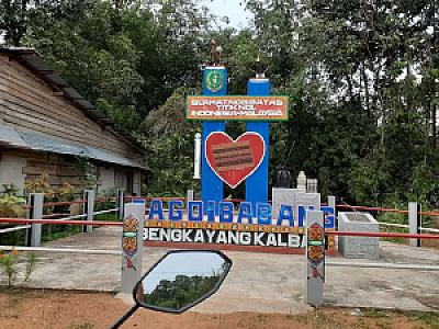 Batı Kalimantan – Endonezya fotoğrafı