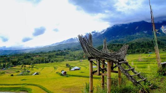 Orta Sulawesi – Endonezya fotoğrafı