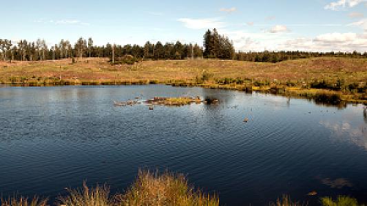 Gribskov – Danimarka fotoğrafı