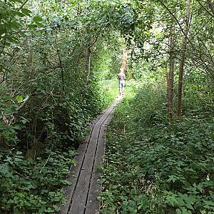 Egedal – Danimarka fotoğrafı