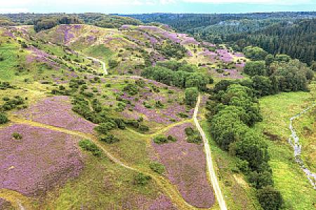 Rebild – Danimarka fotoğrafı