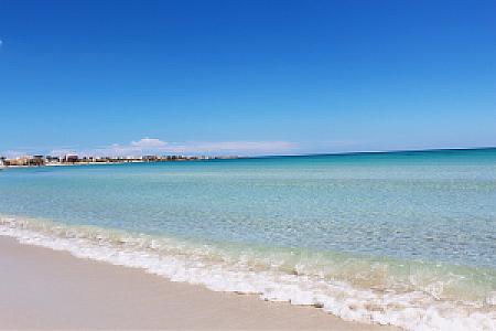 Ariana – Tunus fotoğrafı