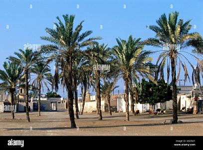 Saham – Umman fotoğrafı