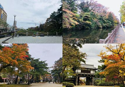 Akita – Japonya fotoğrafı