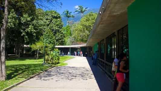 Miranda – Venezuela fotoğrafı