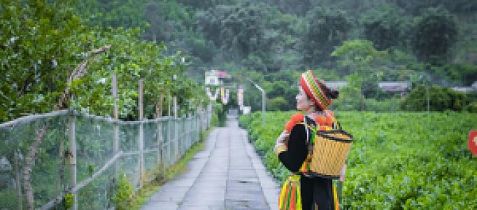 Bắc Kạn – Vietnam fotoğrafı