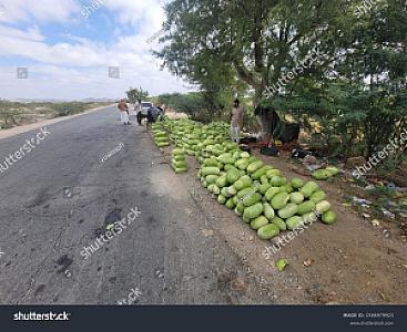 Abyan – Yemen fotoğrafı