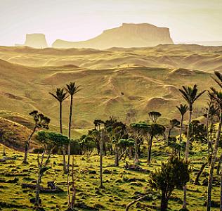 Chatham Adaları Bölgesi – Yeni Zelanda fotoğrafı