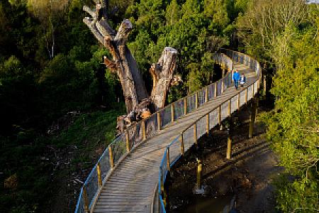 Palmerston North Şehri – Yeni Zelanda fotoğrafı