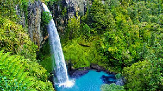 Waikato Bölgesi – Yeni Zelanda fotoğrafı