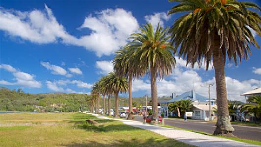 Waikato İlçesi – Yeni Zelanda fotoğrafı