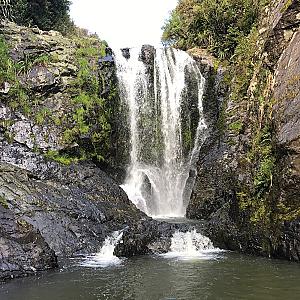 Waipā İlçesi – Yeni Zelanda fotoğrafı