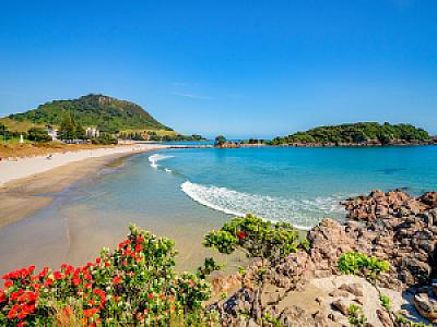 Western Bay of Plenty İlçesi – Yeni Zelanda fotoğrafı