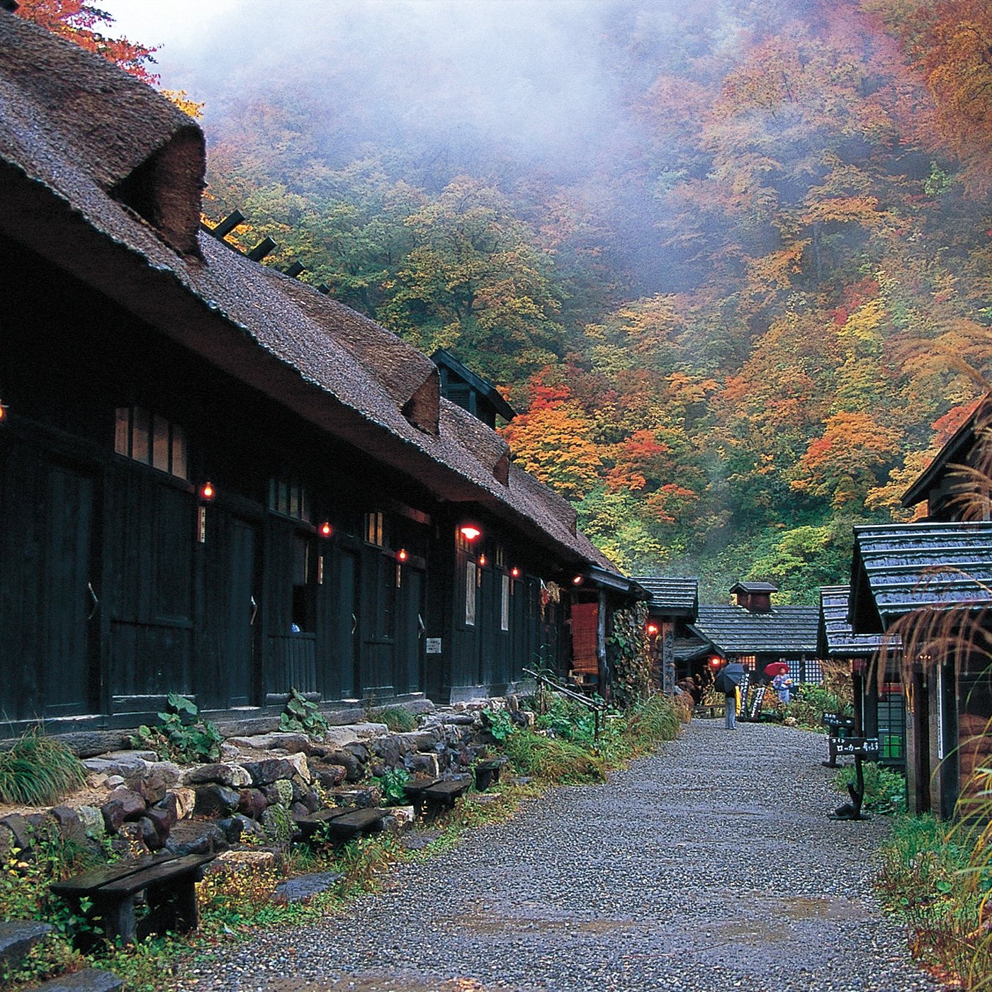 Akita – Japonya fotoğrafı