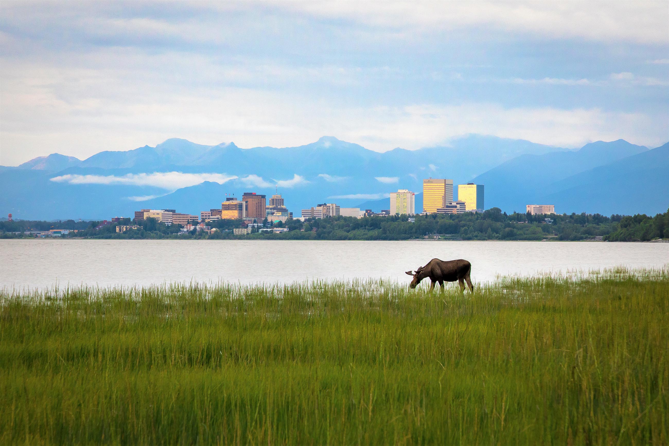 Alaska – Amerika Birleşik Devletleri fotoğrafı