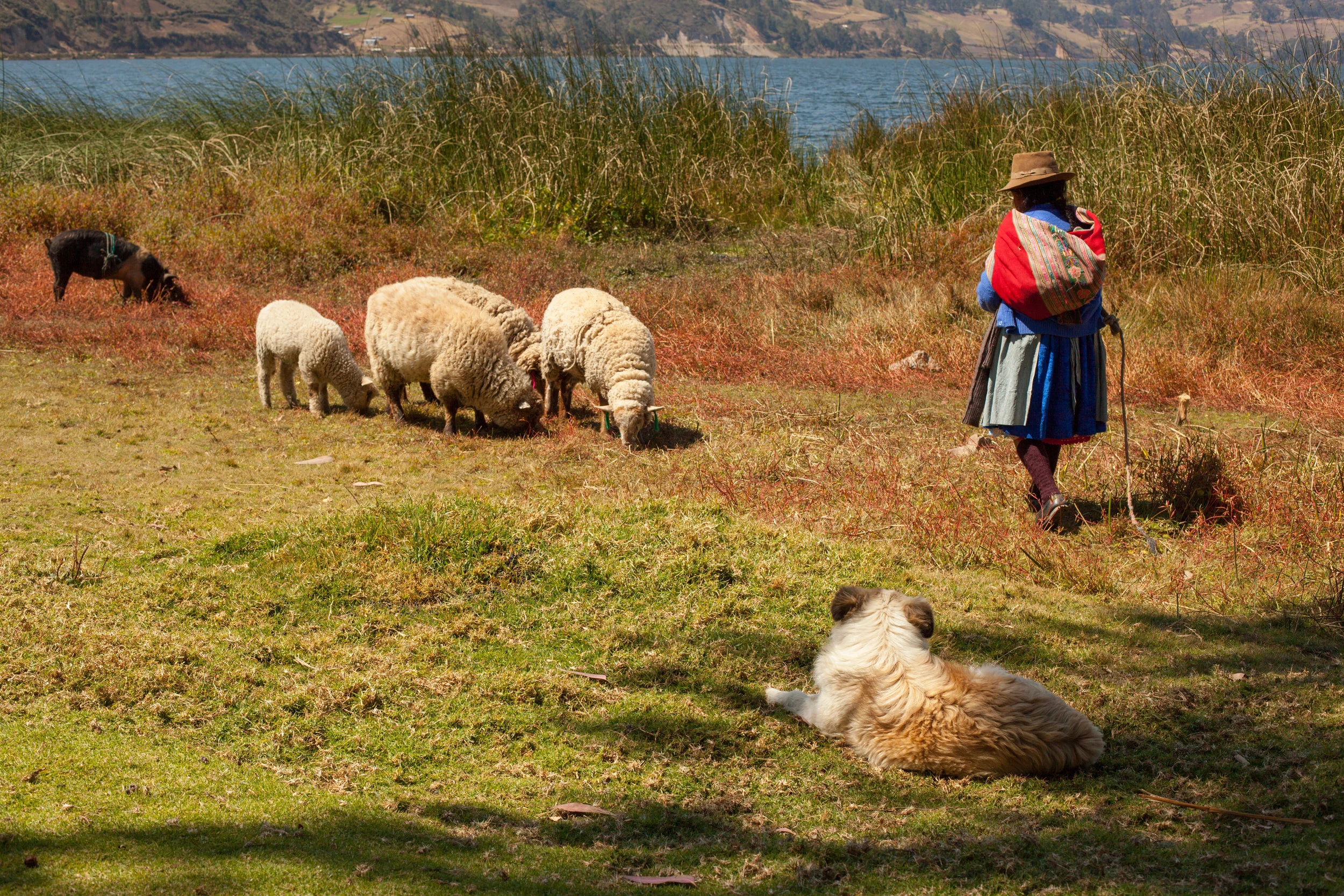 Andahuaylas – Peru fotoğrafı