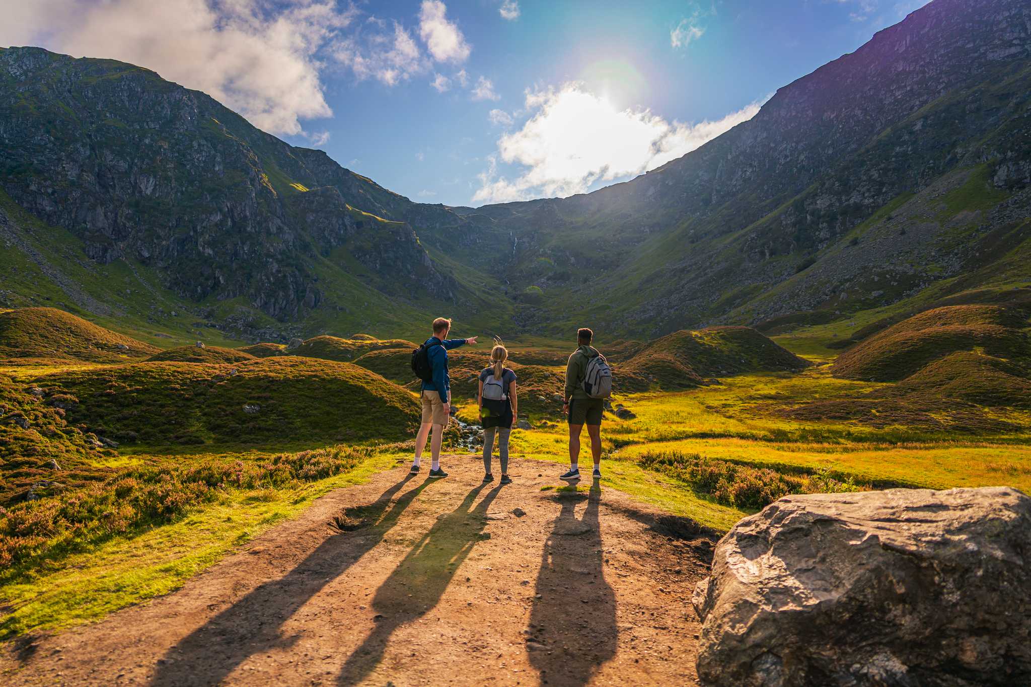 Angus – İngiltere fotoğrafı