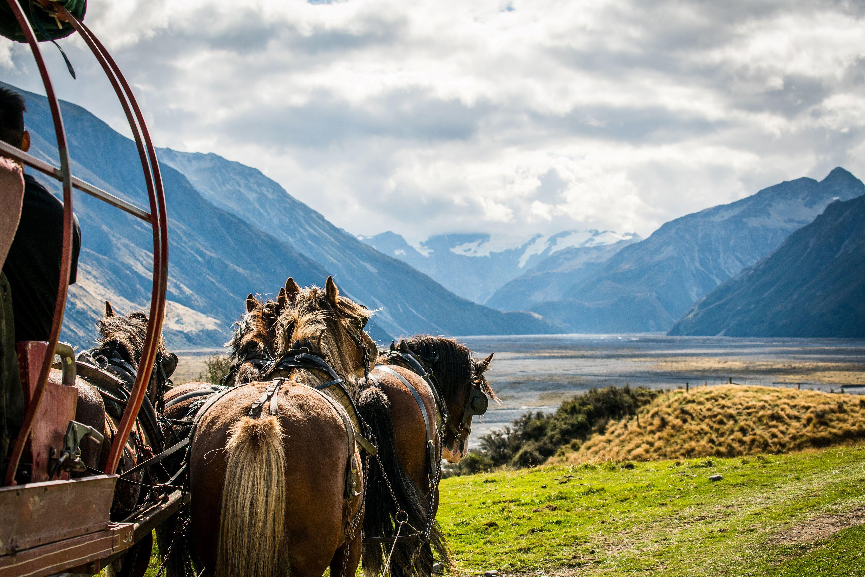 Ashburton İlçesi – Yeni Zelanda fotoğrafı