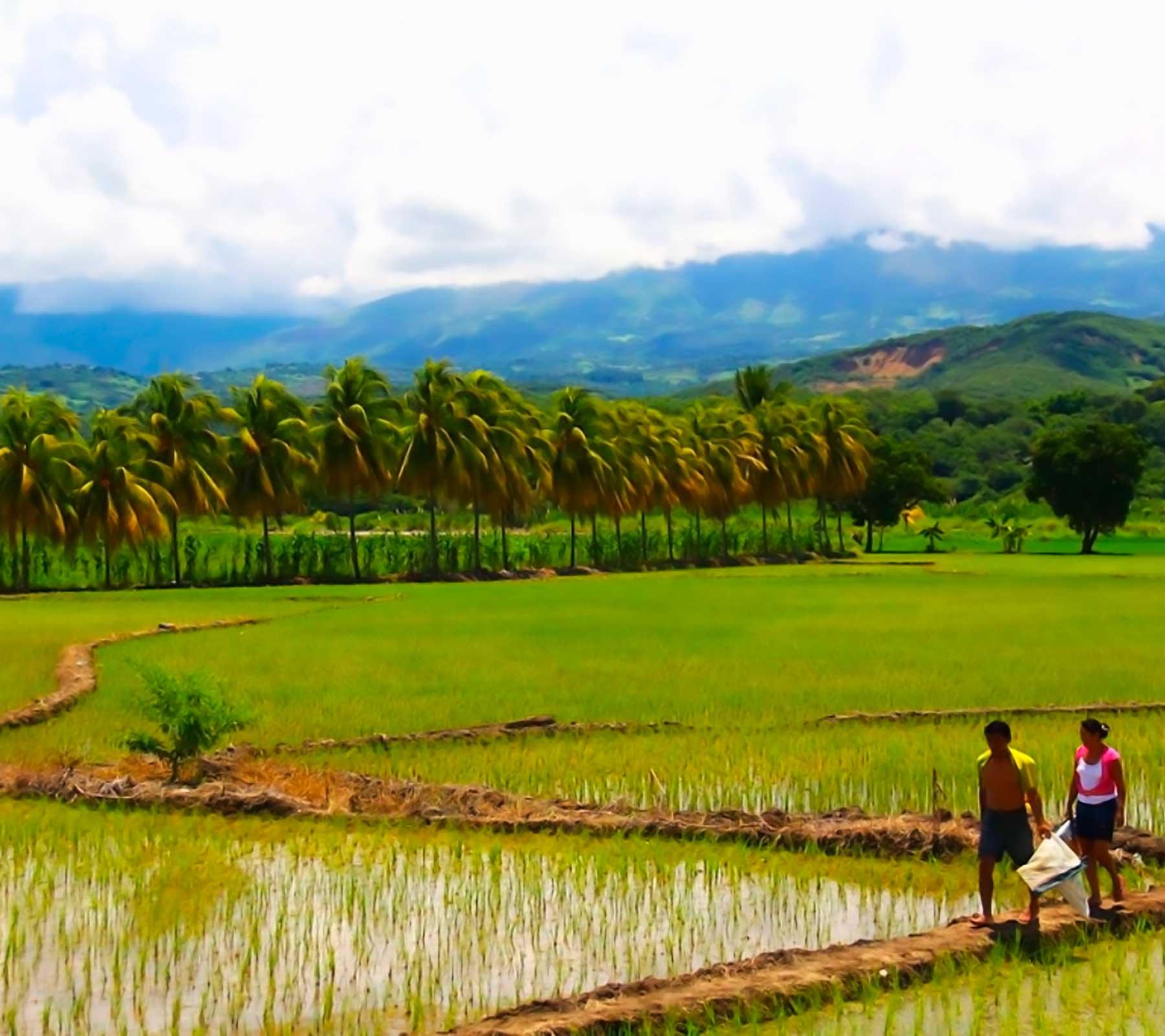 Bagua – Peru fotoğrafı