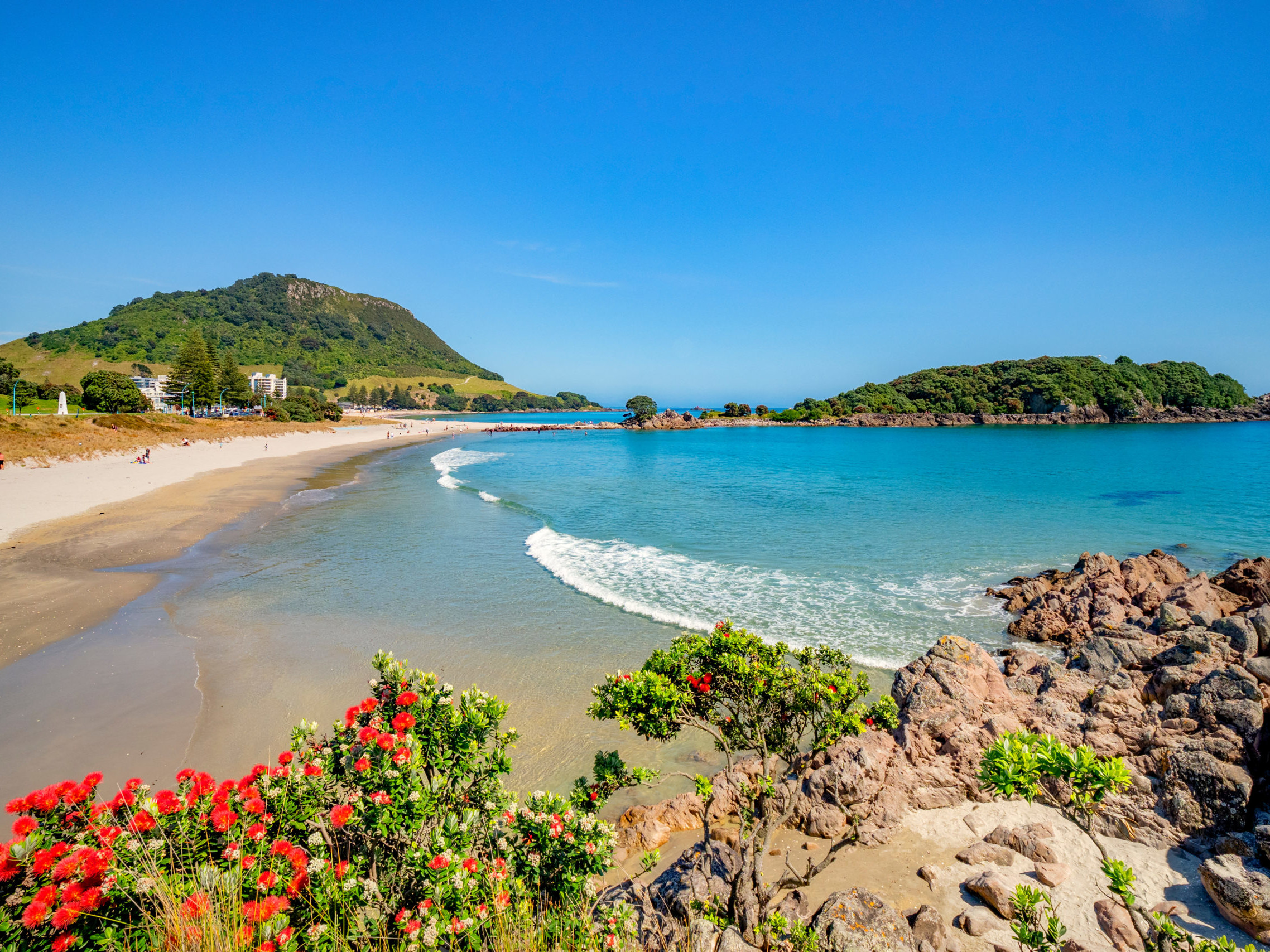 Bay of Plenty Bölgesi – Yeni Zelanda fotoğrafı