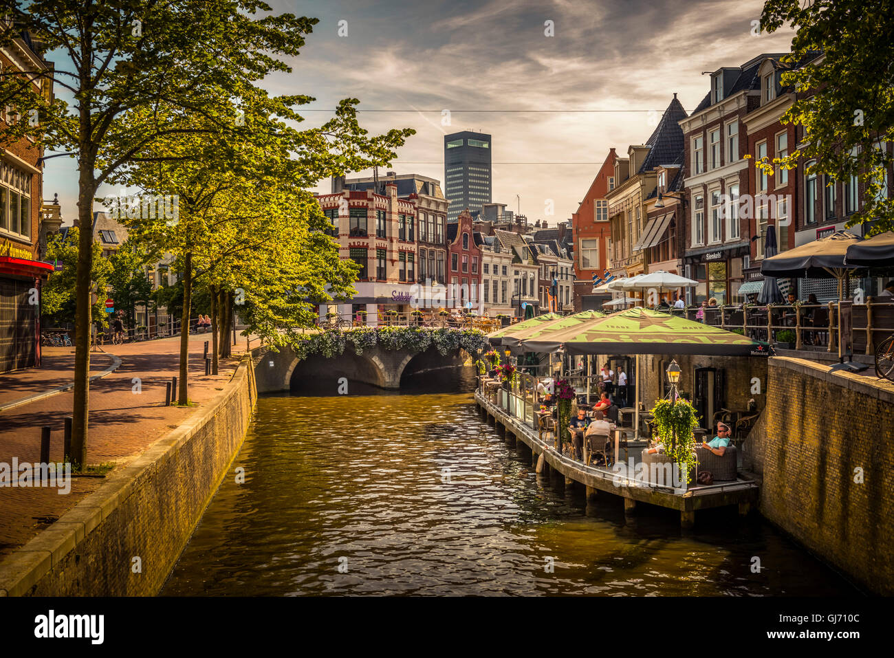 Frizya – Hollanda fotoğrafı