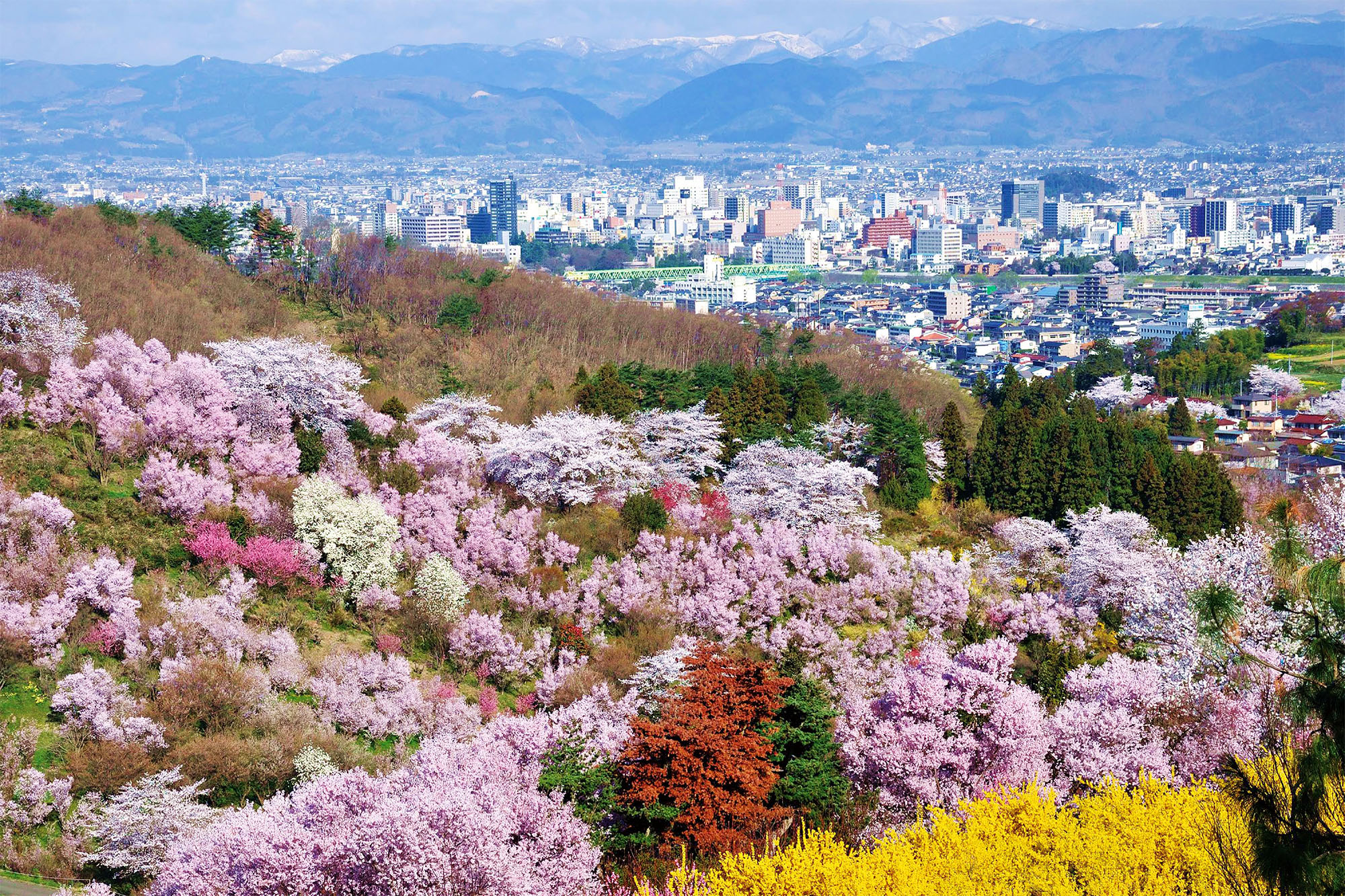 Fukushima – Japonya fotoğrafı