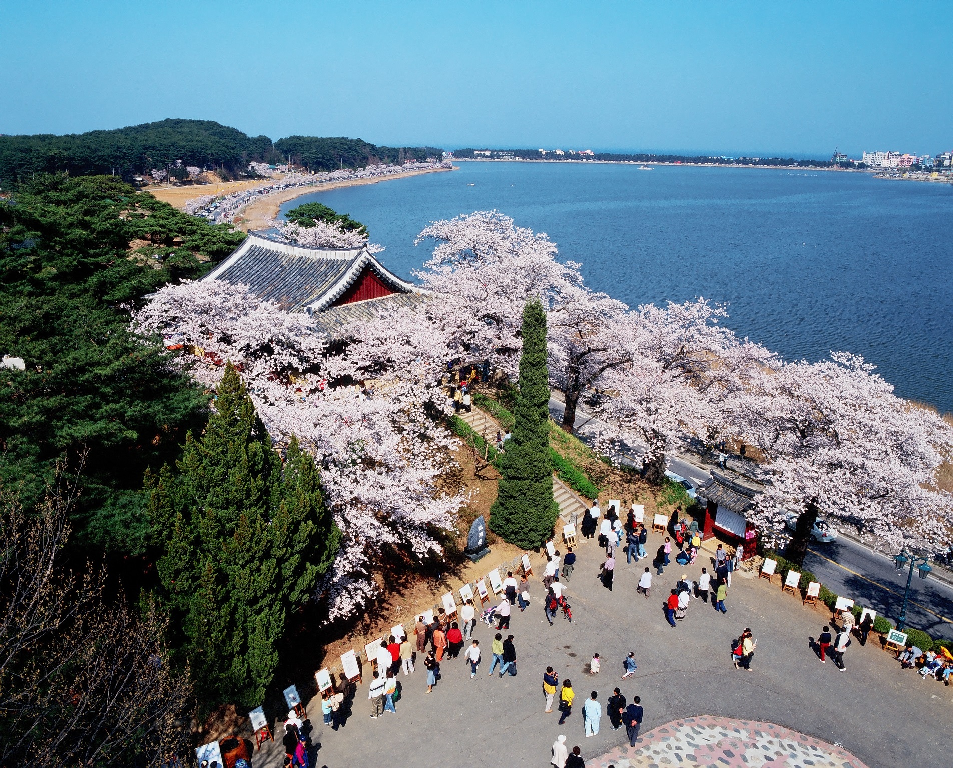 Gangwon – Güney Kore fotoğrafı