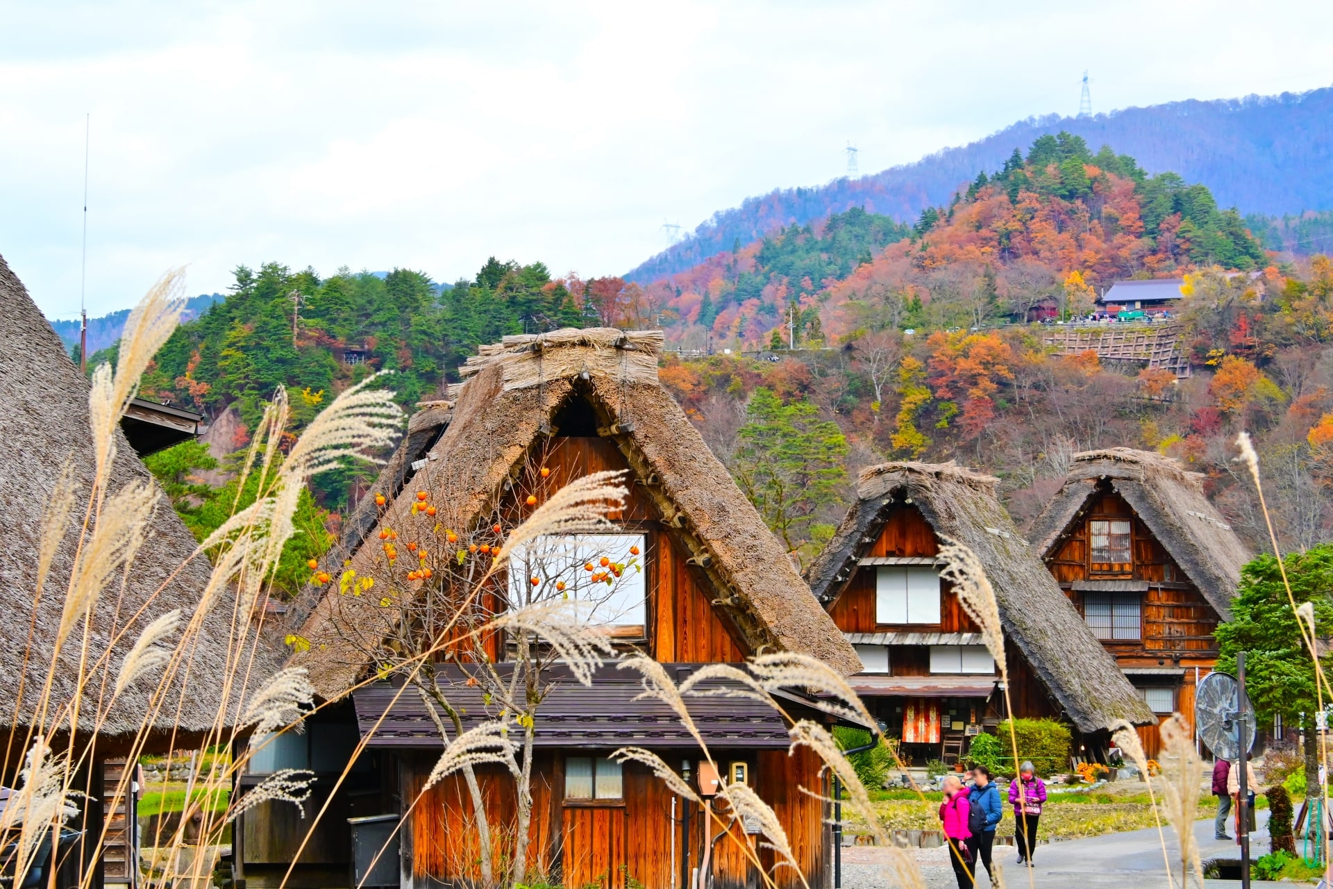 Gifu – Japonya fotoğrafı