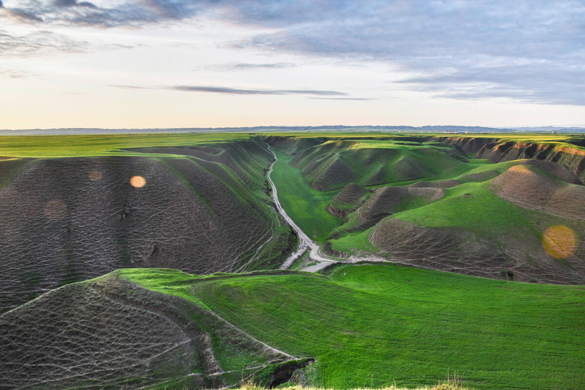 Golestan – İran fotoğrafı