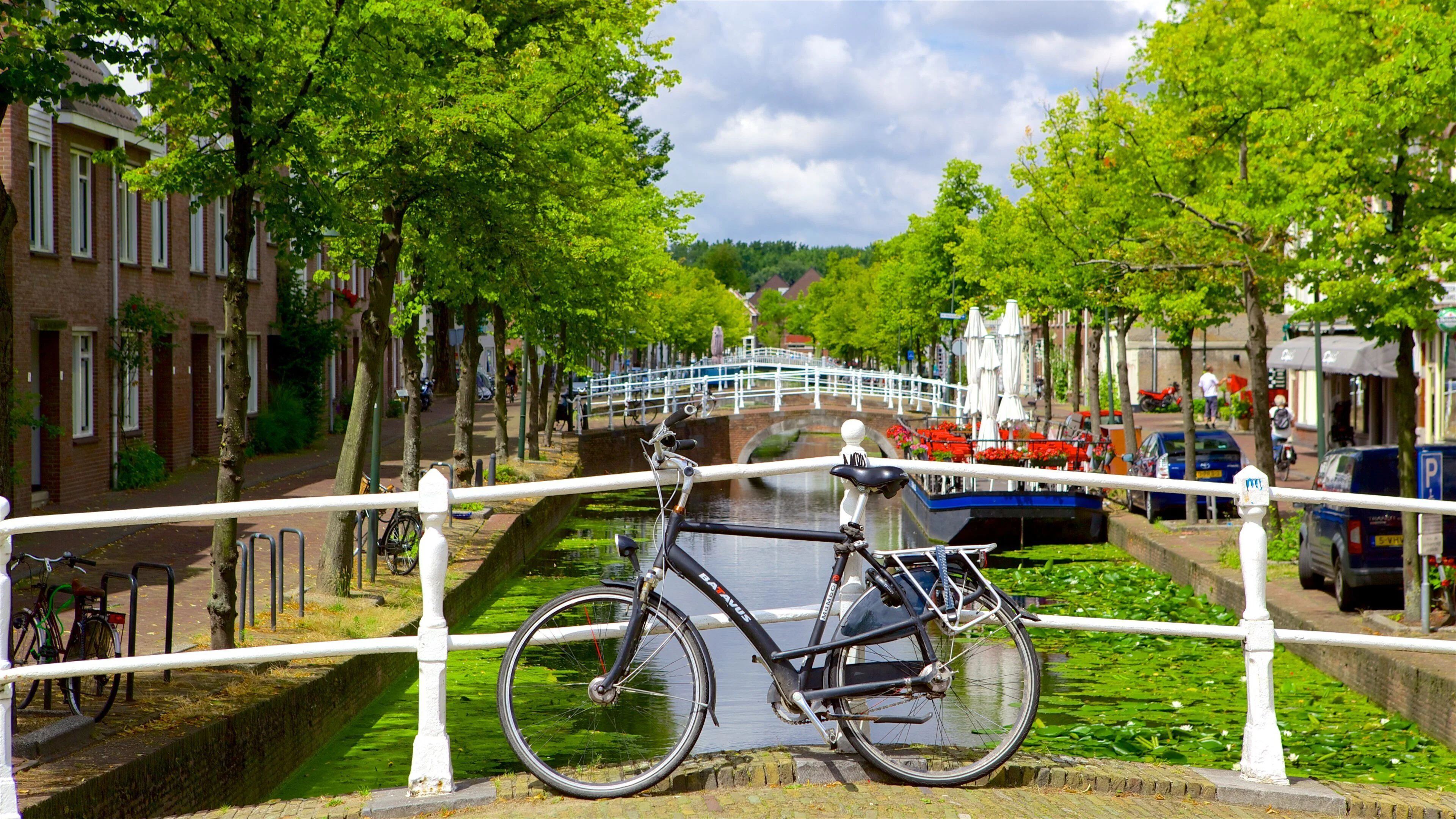 Güney Hollanda – Hollanda fotoğrafı