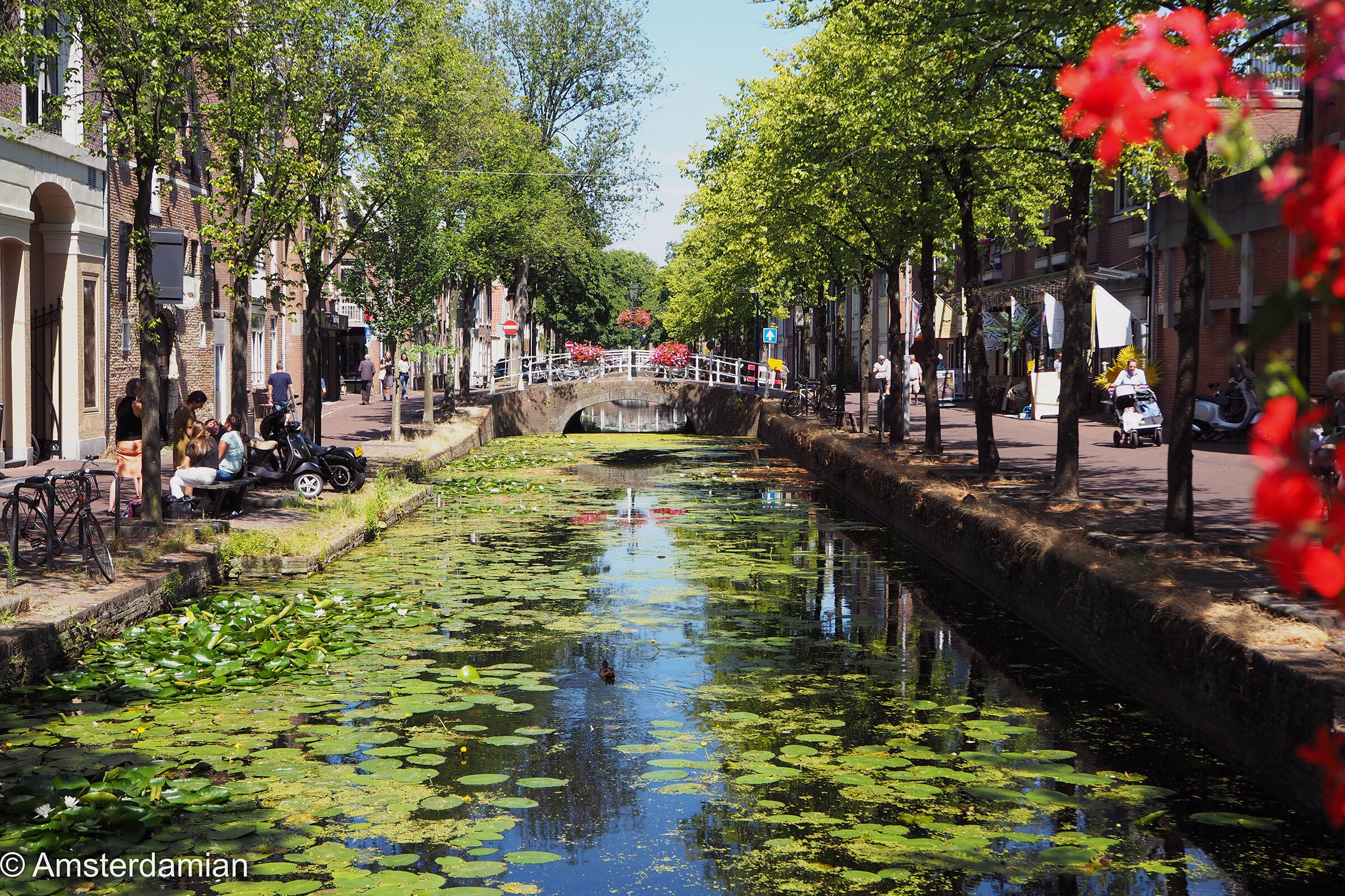 Güney Hollanda – Hollanda fotoğrafı
