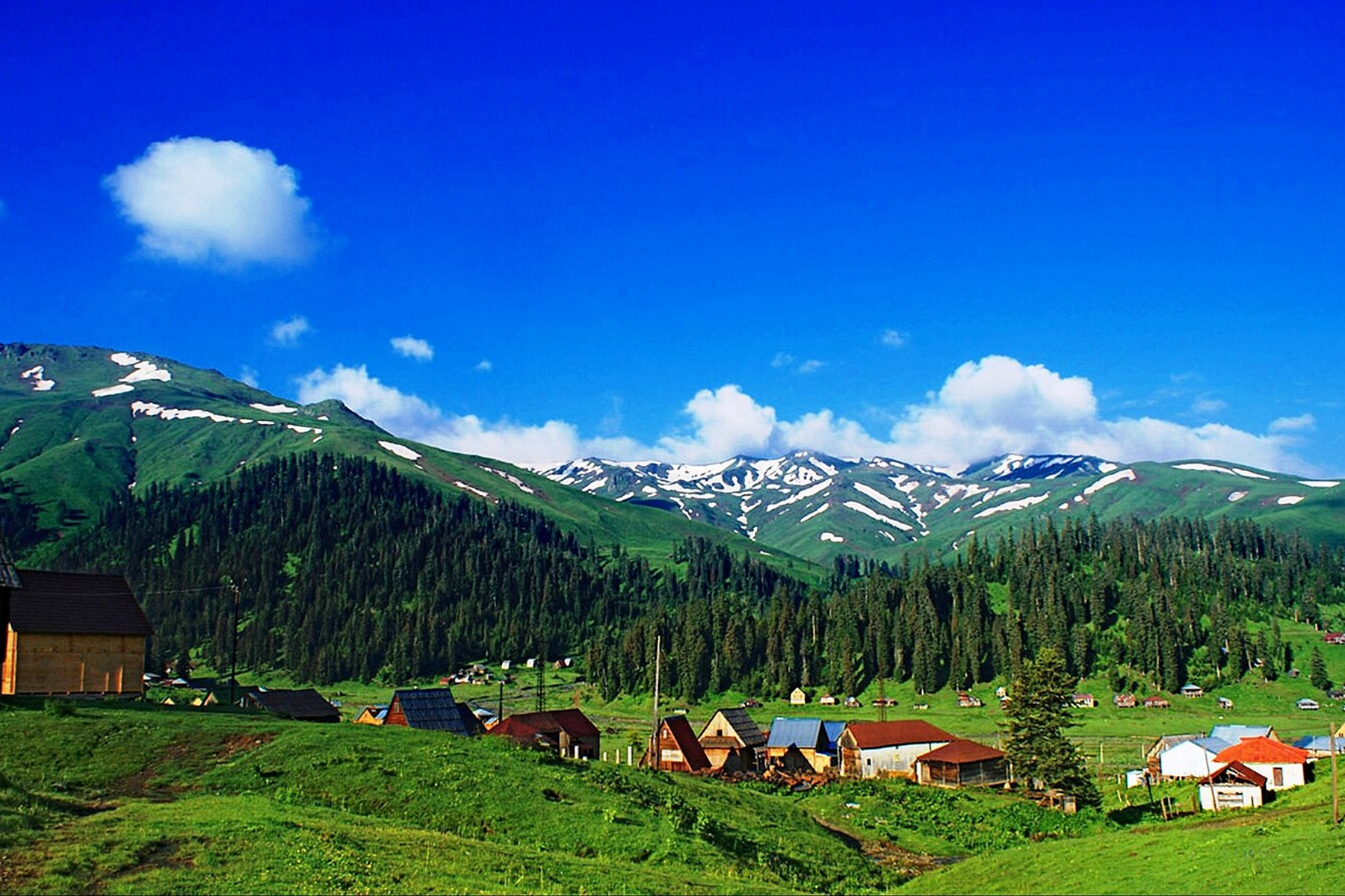 Guria – Gürcistan fotoğrafı
