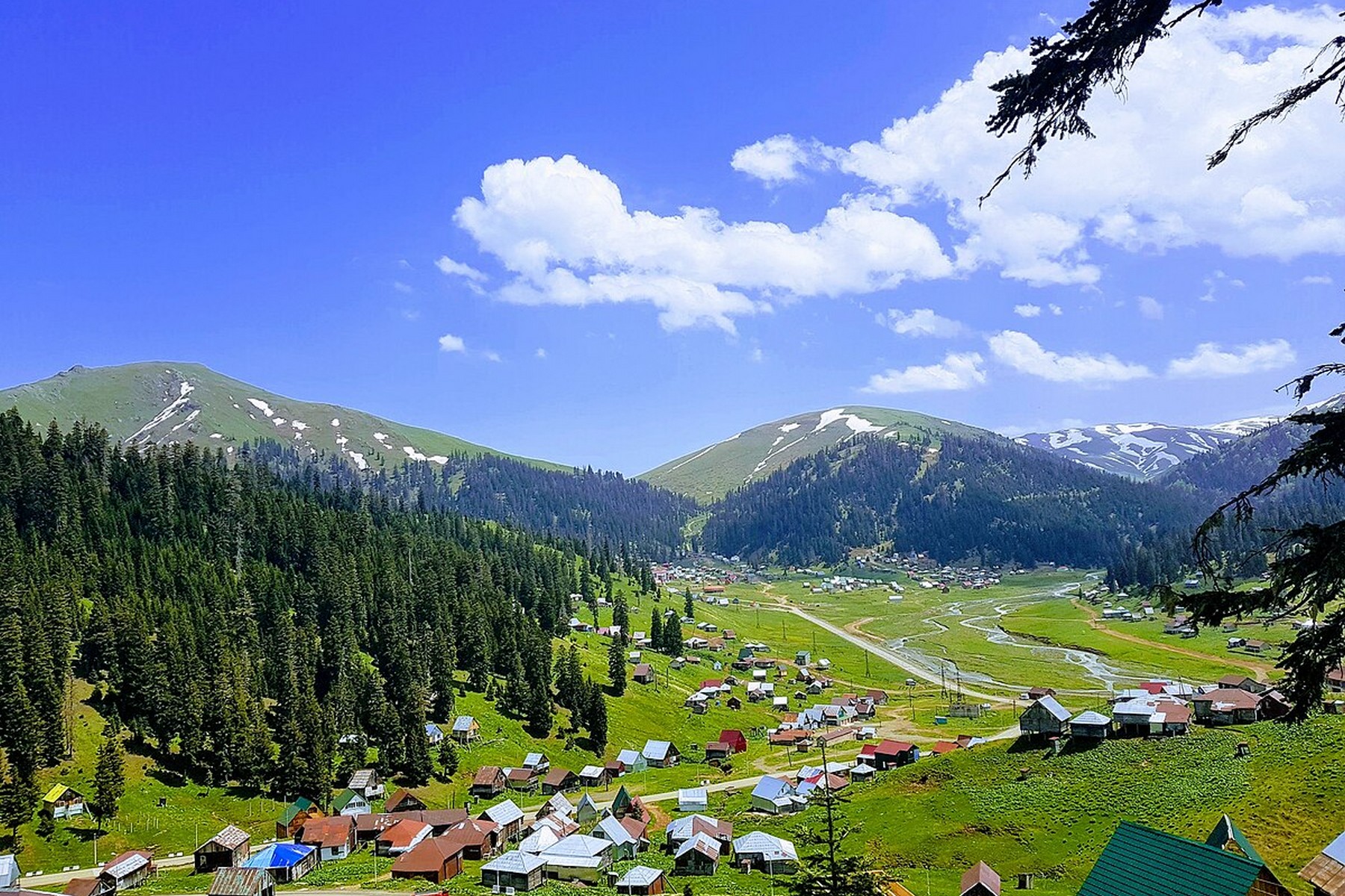 Guria – Gürcistan fotoğrafı