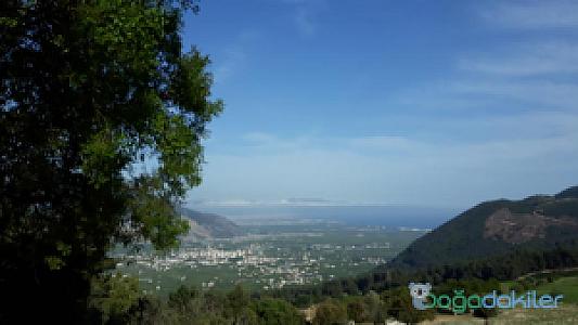 Alacadağ, Antalya fotoğrafı