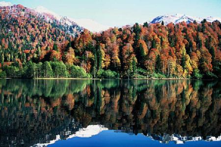 Borçka, Artvin fotoğrafı