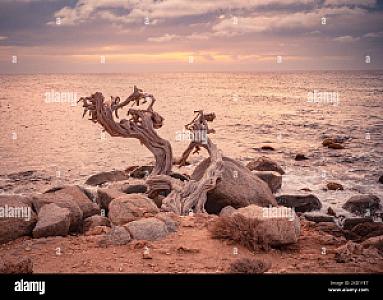 Aruba – ülke fotoğrafı