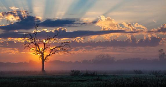 Botswana – ülke fotoğrafı