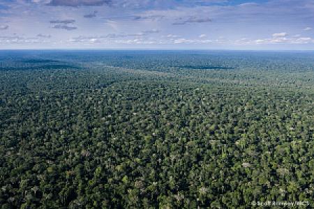 Congo (Brazzaville) – ülke fotoğrafı