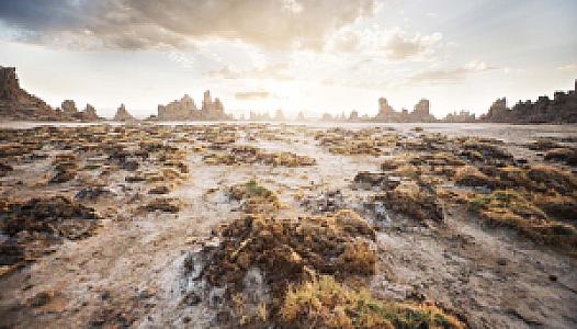 Djibouti – ülke fotoğrafı