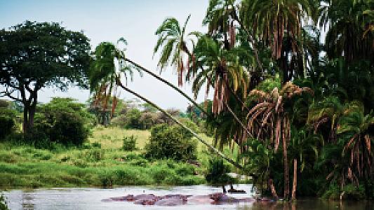 Gabon – ülke fotoğrafı