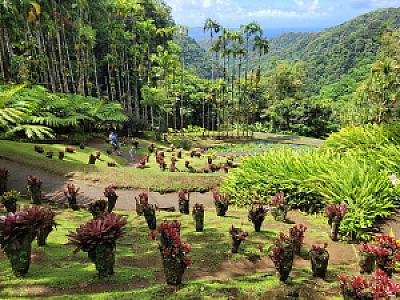 Martinique – ülke fotoğrafı