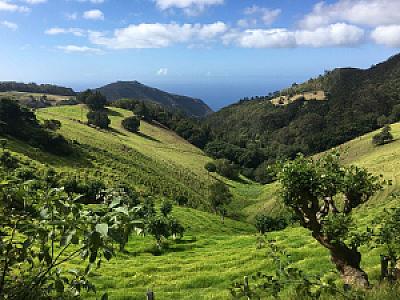 Saint Helena, Ascension, and Tristan da Cunha – ülke fotoğrafı